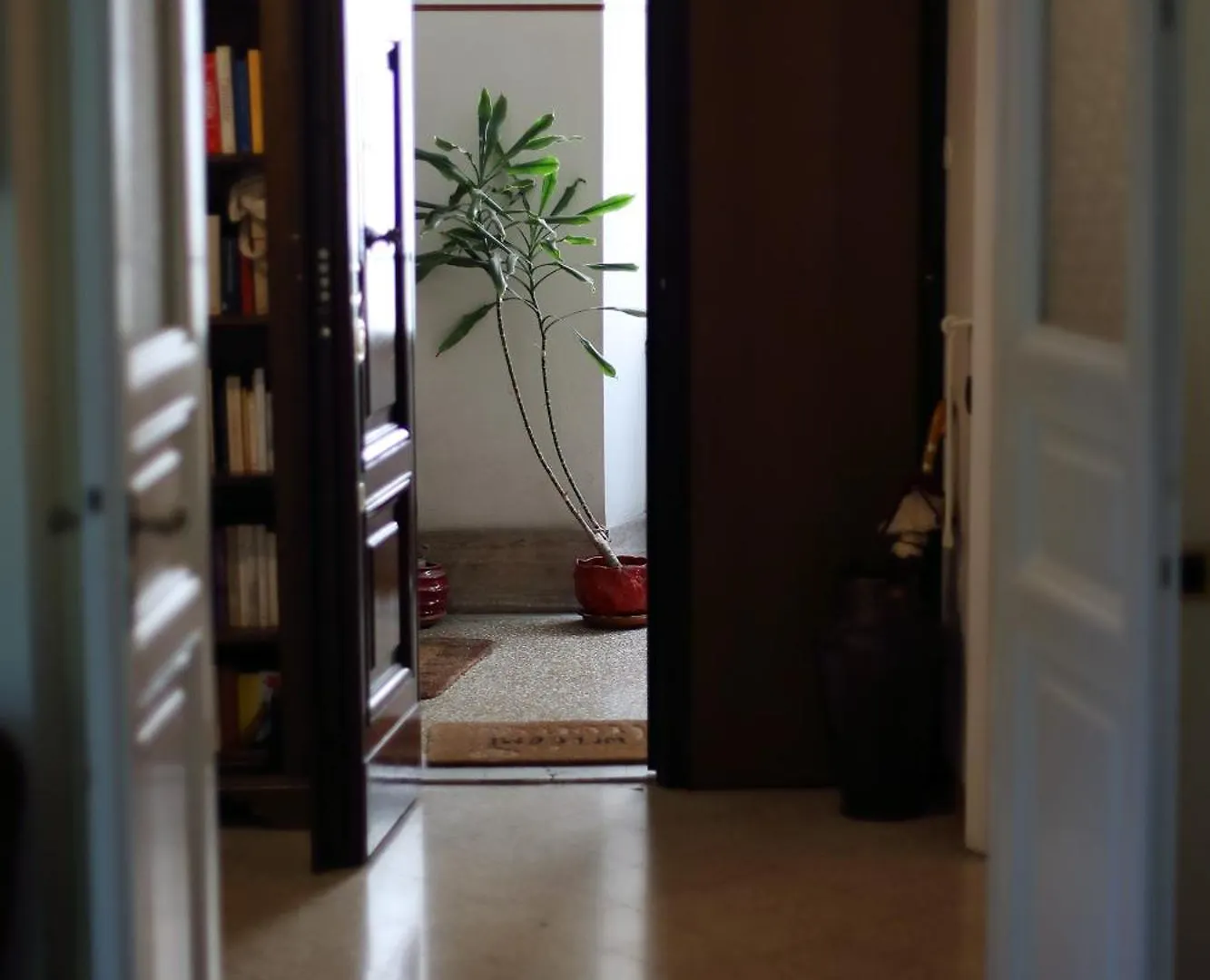 רומא Casa Salimei דירה